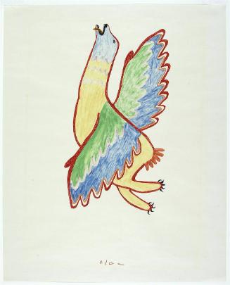 Seal/Bird Transformation