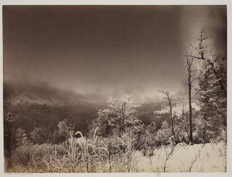 View Near Lake Beauport taken during a Fall of Snow