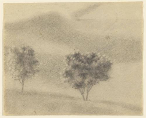Landscape with two trees