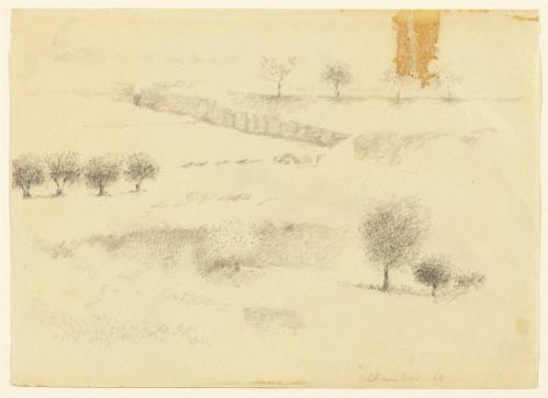 Landscape with fence
