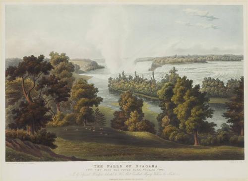 The Falls of Niagara: Plate 4   This View from the Upper Bank, English Side