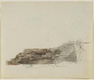 Tree Trunk (After William Berczy's "Joseph Brant")