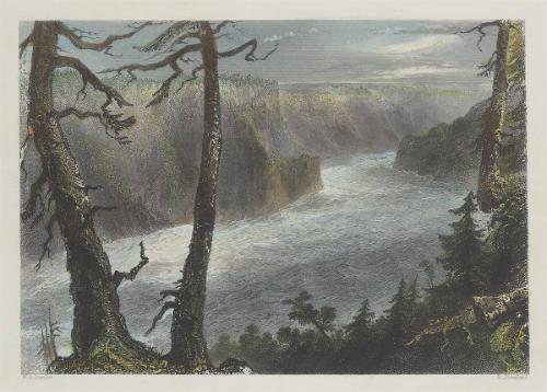 The Banks of the River Niagara