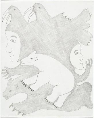 Transformation Image