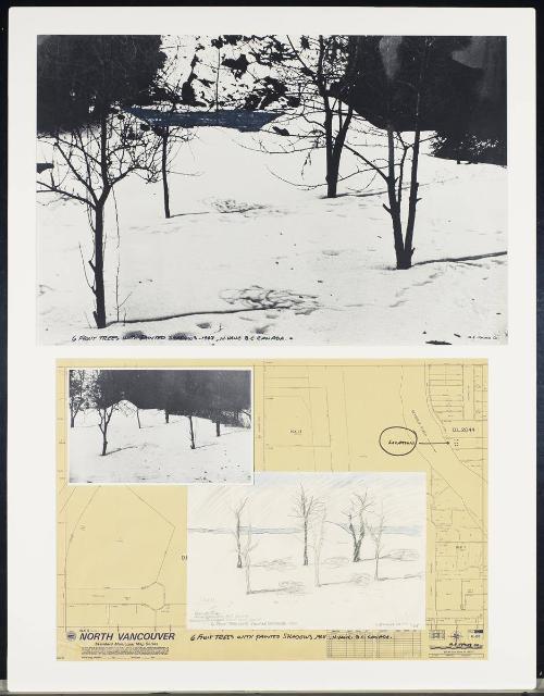 Six Fruit Trees with Painted Shadows