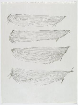 Caribou, Seal and Walrus