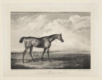 Moses-The Property of Royal Highness the Duke of York