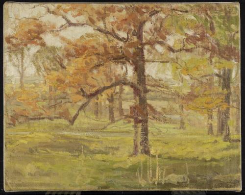 Solitary Tree in Autumn