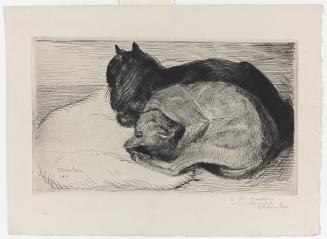 Two Cats on a Cushion