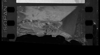 Negative #333A from Lodz Ghetto Collection Series 22000