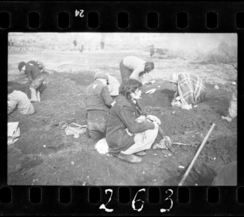 Residents digging for food, coal and other provisions