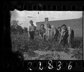 Residents working in a vegetable garden