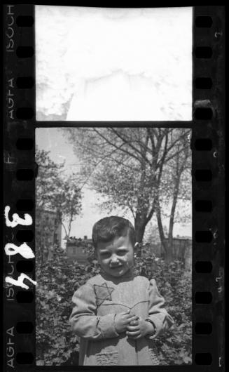 Portrait of a young boy