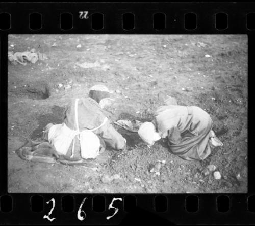 Elderly residents digging for food in the ground