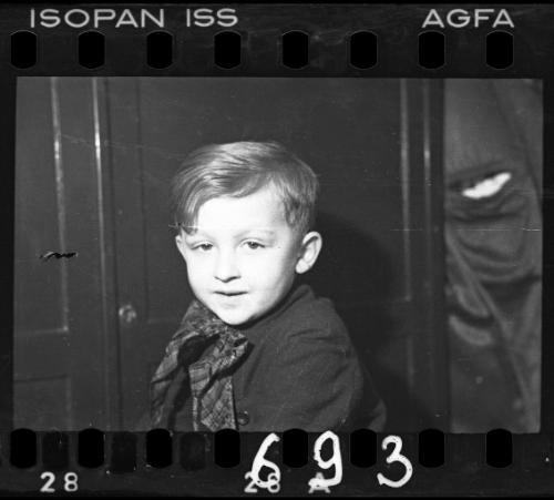 Portrait of a young boy