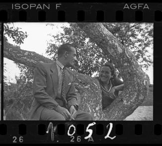 Couple in a tree