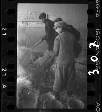 Mattress and woodframe production at the Holzwollenfabrik workshop