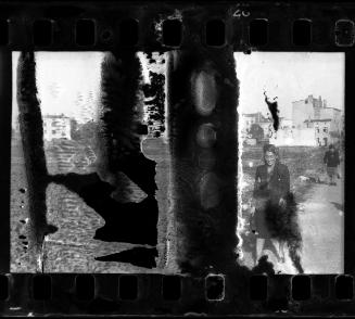 Portrait of Stefania Schoenberg