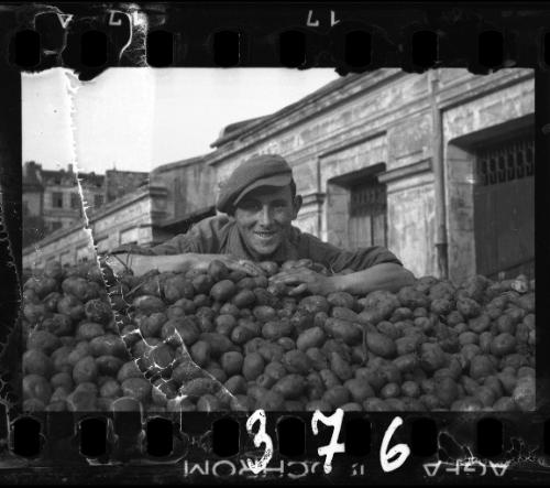 Delivery of potatoes to the ghetto