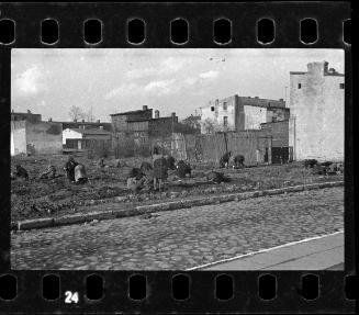 Residents digging for food, coal, and other provisions