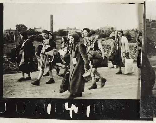 Contact Print #141 from Page #3 from Lodz Ghetto Album