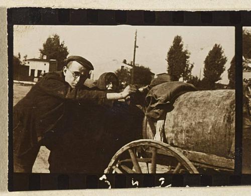 Contact Print #342 from page #17 in Lodz Ghetto Contact Album