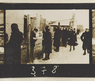 Contact Print #378 from page #11 in Lodz Ghetto Contact Album