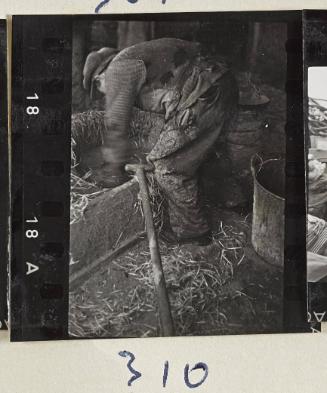 Contact Print #310 from page #9 in Lodz Ghetto Contact Album