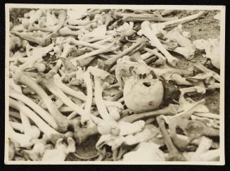 Skull on pile of bones