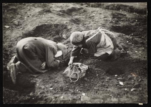 Elderly residents digging for food in the ground
