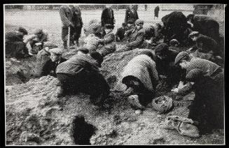 Man digging pit while boys search the ground for potatoes