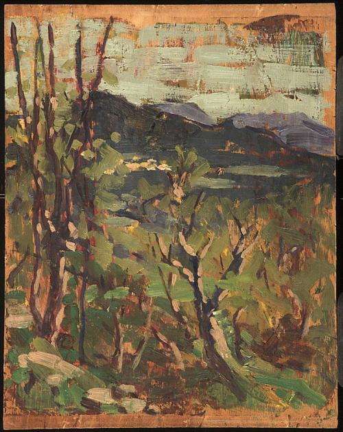 Untitled [Landscape Study]