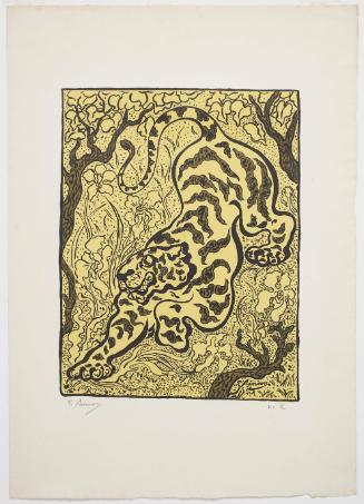 Tigre dans les jungles