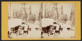 Lumber Shanty in the lumber wood on Lievre River