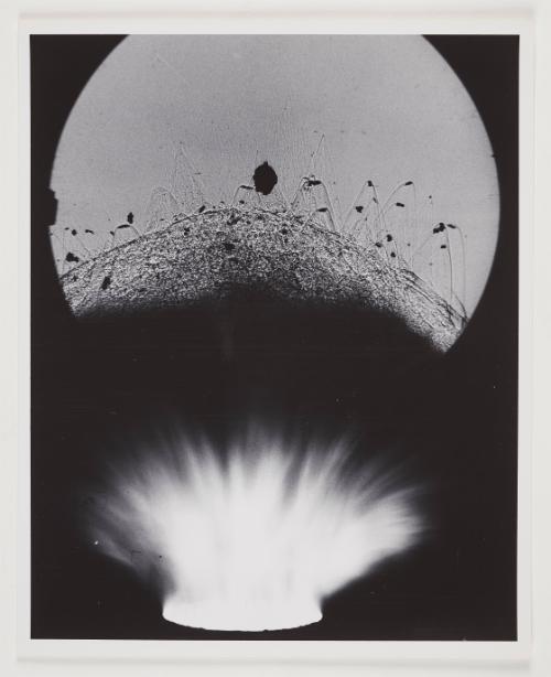 Dynamite Cap Explosion