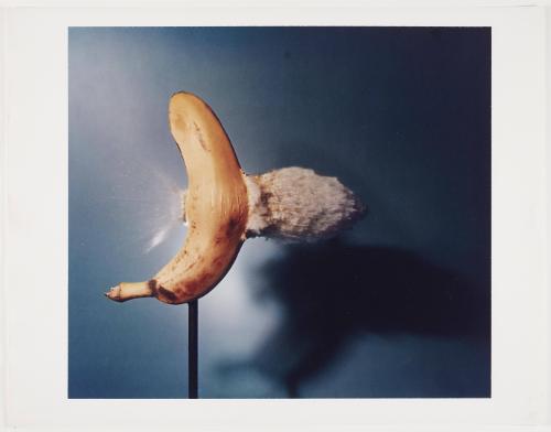 Bullet Through Banana, 1964