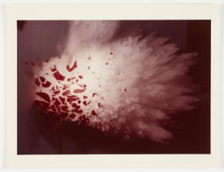 Accelerator Bullet Thru Apple