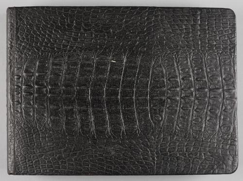 Album: Family Portrait and Snapshot