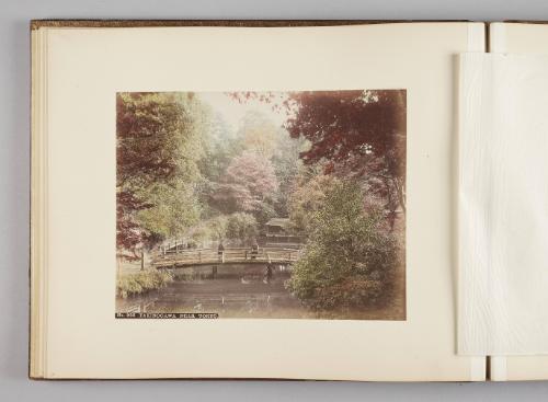 Takinogawa Near Tokyo   from Views of Tokyo, Nikko, Yokohama