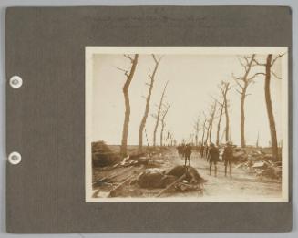 Album: Palestine etc.