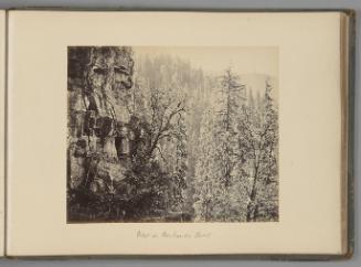 View in Narkunda Forest   from Indian Views