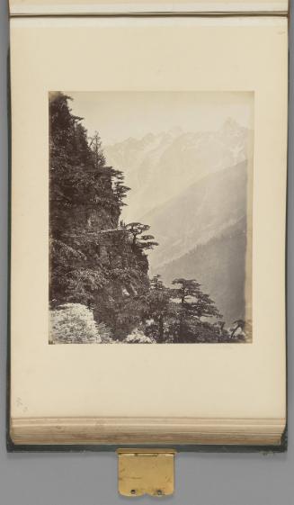 [A "bit" on the new road near Rogi]   from Himalayas