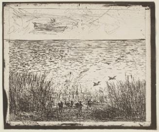 Le Marais aux canards