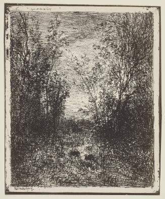 Le Ruisseau dans la clairiere