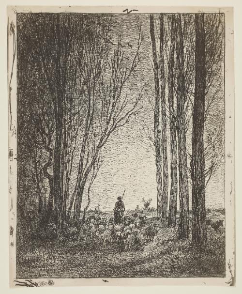 La Rentree du troupeau