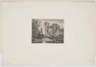 Les Cerfs au Bord de l'Eau