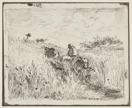 Sentier dans les bles