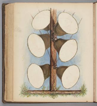 Album [1]: "C.W.BELL"