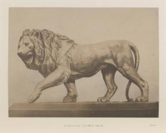 [Colossal Bronze Lion, Miller]