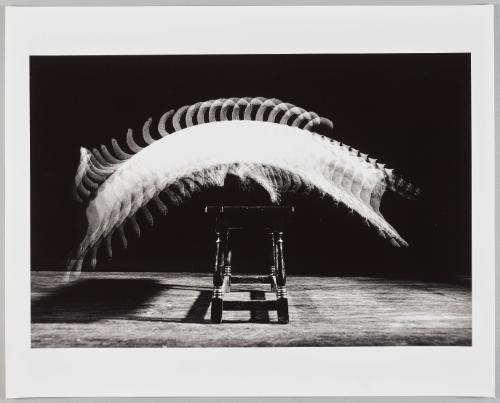 Jackie Jumps a bench